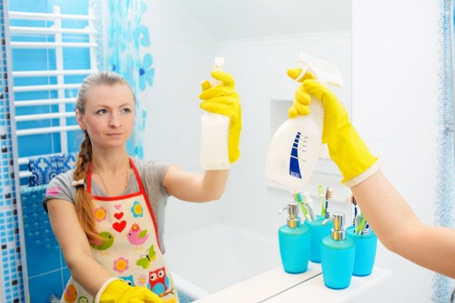 Accessible Maidavale Carpetcleaning website concept with inclusive design focus