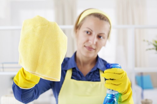 Maidavale Carpetcleaning introduction with a fresh carpet care concept