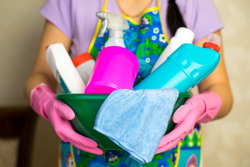 Carpet cleaning pricing overview for a Maidavale home