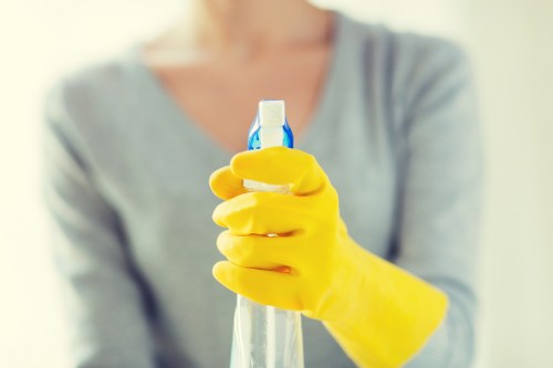 Professional house cleaning service in Maidavale living room