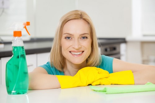 Book an oven cleaning service in Maidavale for a spotless kitchen