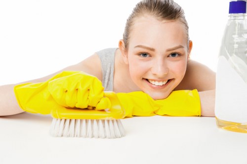 Local carpet cleaner in Maidavale preparing equipment for deep carpet cleaning