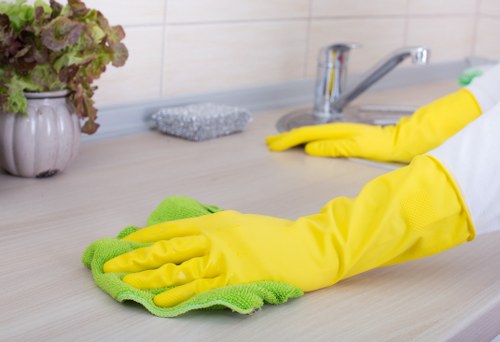 Kitchen cleaning as part of domestic cleaning in Maidavale