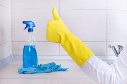 Professional home cleaning service in Maidavale living room