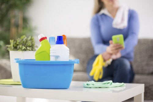 Vacuuming and dusting in a Maidavale family home