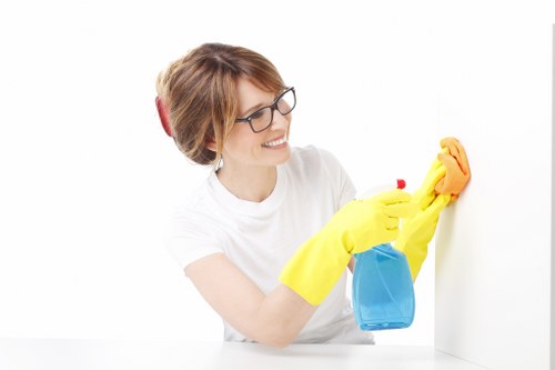 Professional carpet cleaning appointment in progress