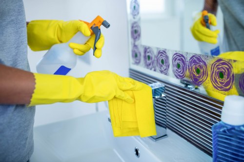 Experienced cleaners in Maidavale supporting busy households and businesses