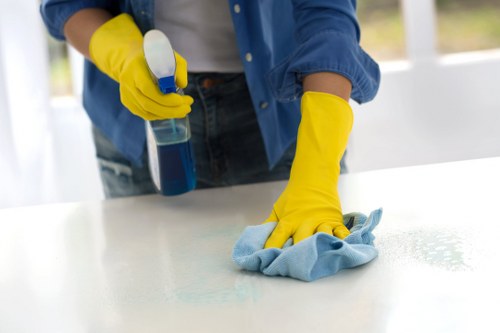 Deep oven cleaning service in Maidavale with cleaned shelves and glass door