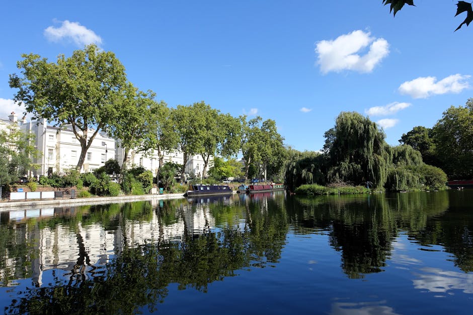 A view of the Little Venice area showing narrowboats moored along a calm canal, with leafy green trees lining the waterway under a bright blue sky with some scattered clouds. The scene includes boats with polished surfaces reflecting the natural surroundings, and a pedestrian walking along the paved towpath. The lighting highlights the cleanliness and tranquility of the environment, emphasizing the importance of surface cleaning and maintenance for a hygienic, well-kept outdoor space. This image relates to the high standards of cleaning and sanitisation provided by Maida Vale Carpet Cleaning in the context of flood cleanup and deep cleaning cases in the Little Venice area.