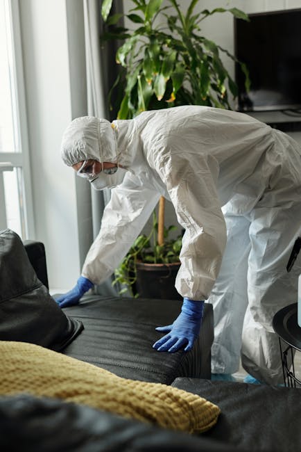 A professional cleaner from Maida Vale Carpet Cleaning, dressed in full protective gear including a white jumpsuit, face mask, gloves, and goggles, is performing surface cleaning on a black fabric sof